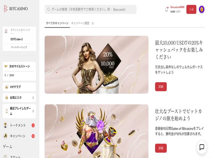 プレイヤー向けのビットカジノのボーナスと特典 プレイヤー向けのビットカジノのボーナスと特典
